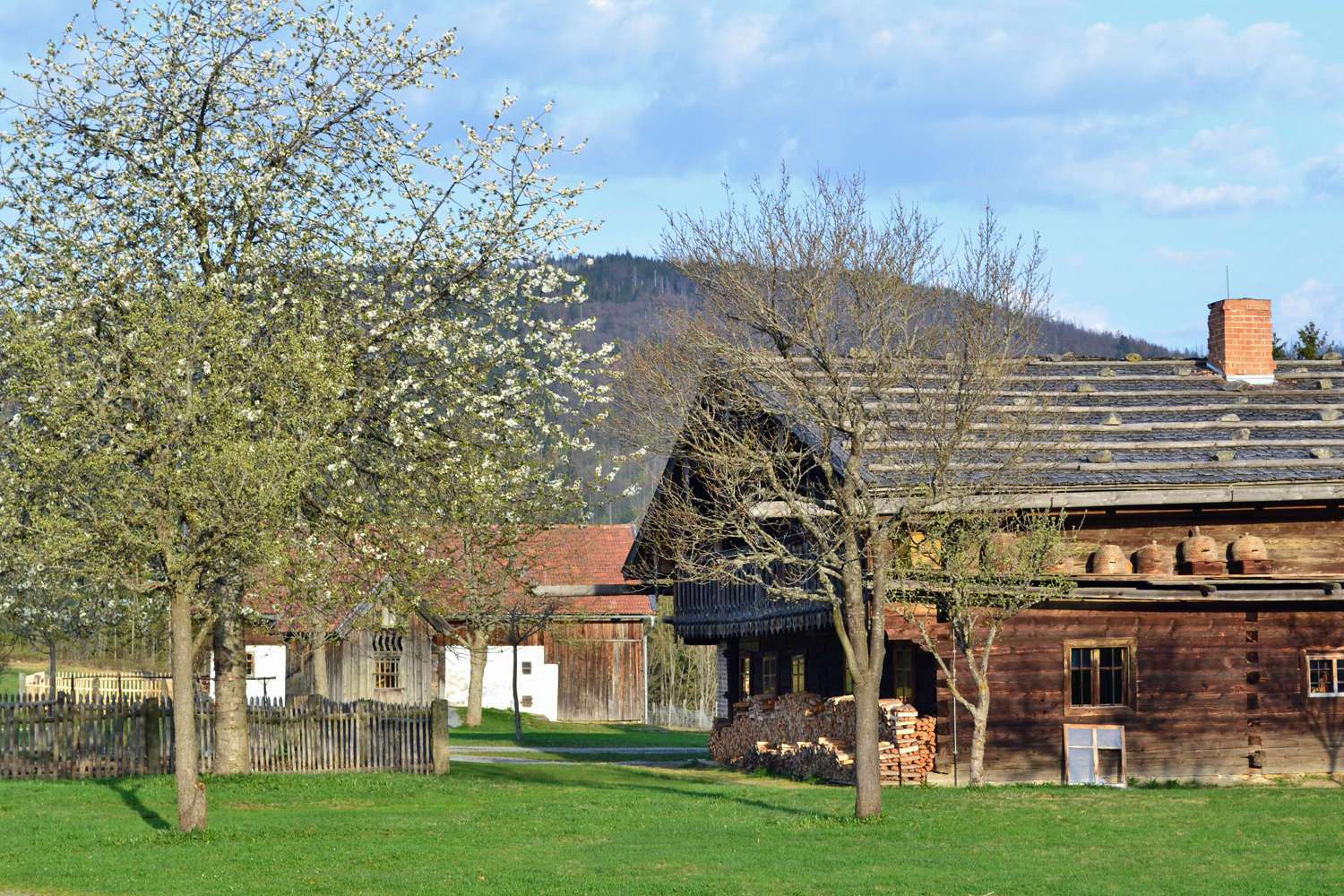 Freilichtmuseum Finsterau