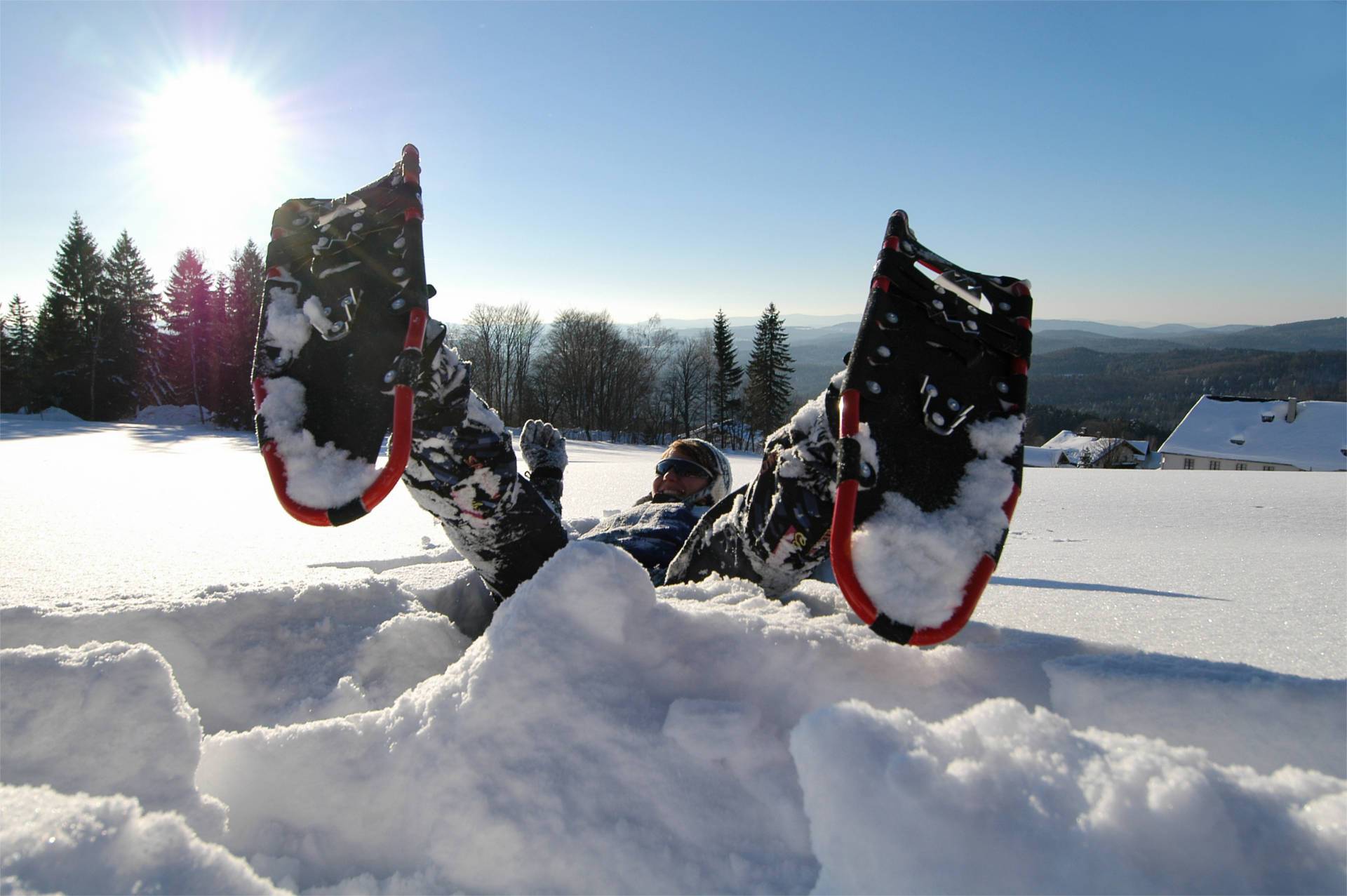 Mit Schneeschuhen durch die Wildnis