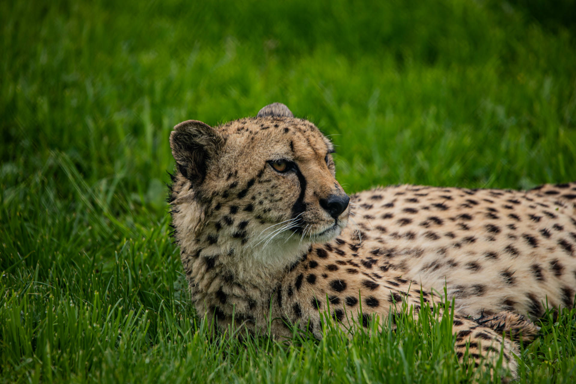 Tierpark Irgenöd